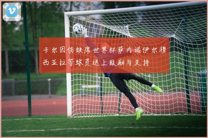 卡尔因伤缺席世界杯萨内诺伊尔穆西亚拉等球员送上鼓励与支持