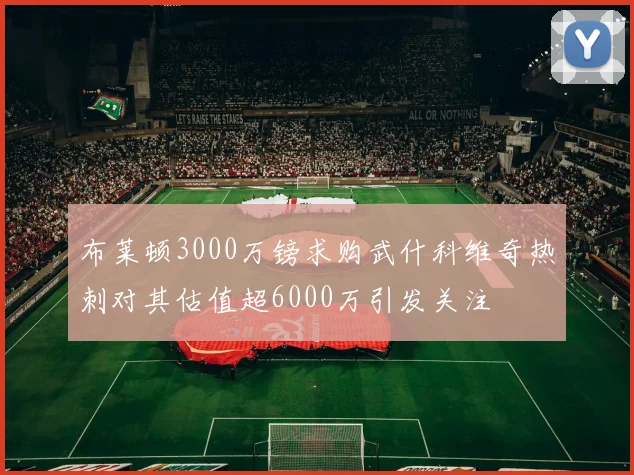 布莱顿3000万镑求购武什科维奇热刺对其估值超6000万引发关注
